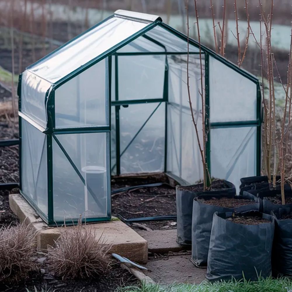 Уборка в теплице в феврале